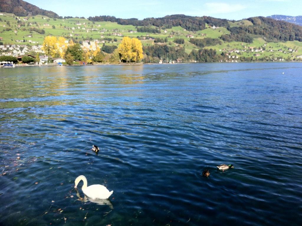 Rigiblick Am See Buochs Exterior foto